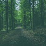 在线天天看大片特色视频 m4zlszkx