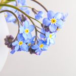 日本无码H动漫 y15pmm2f